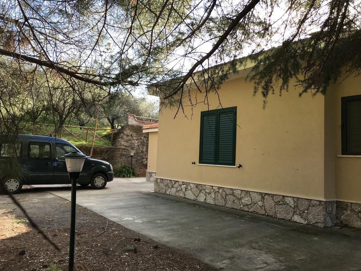 Villa Uliveto 弗兰卡拉希塞尔 外观 照片